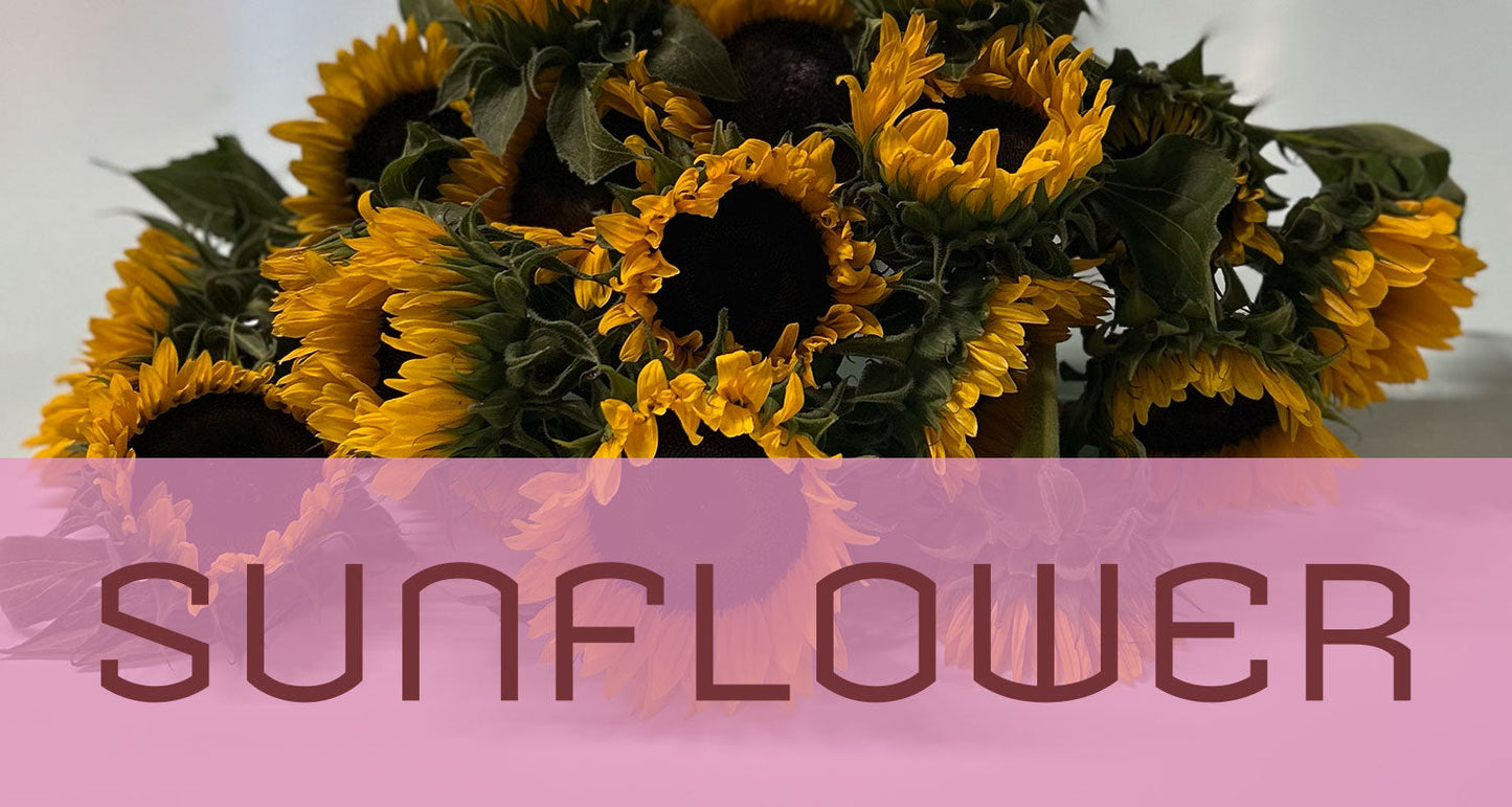 Best in Bloom: Sunflower