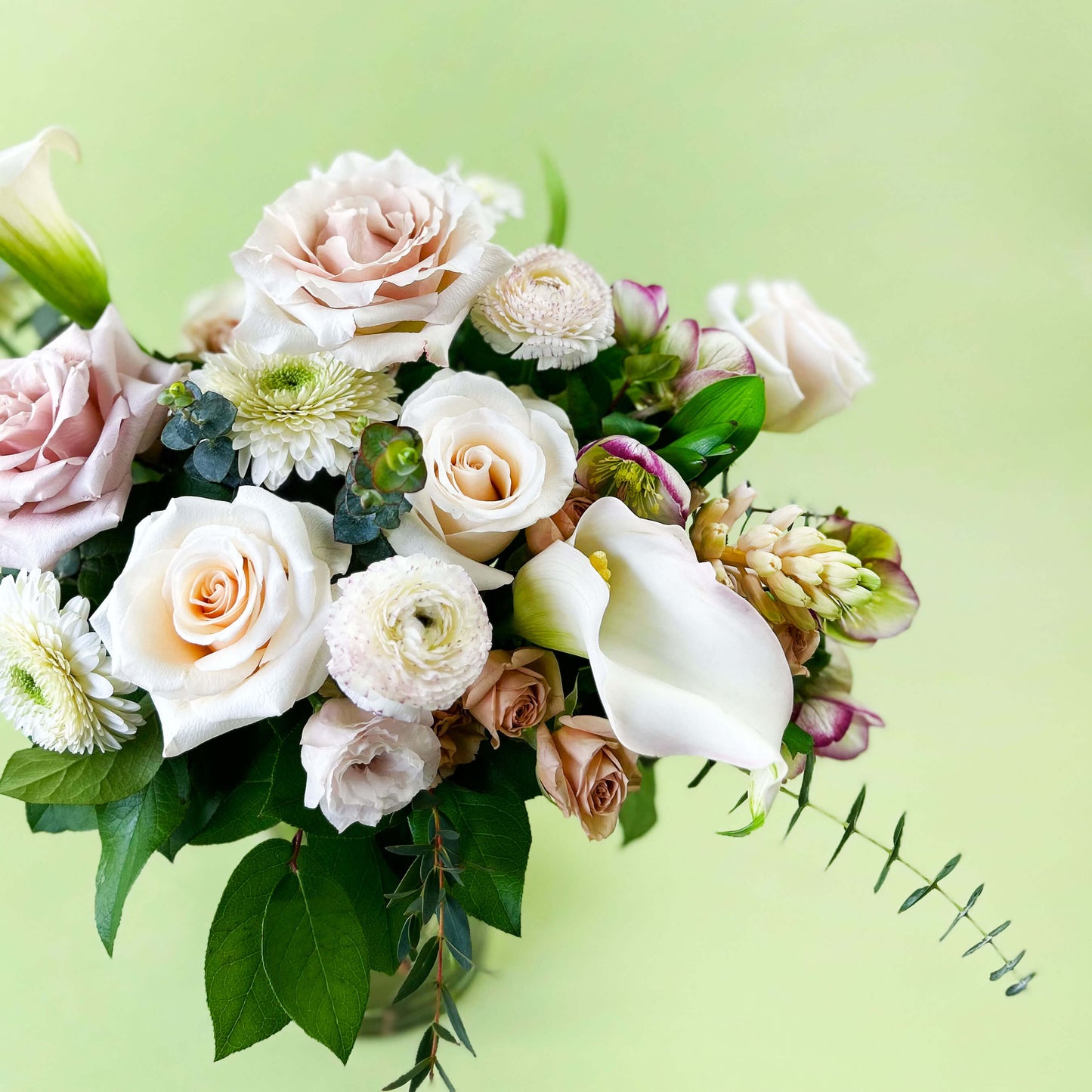 Flowers ✿ Champagne Colour Combo