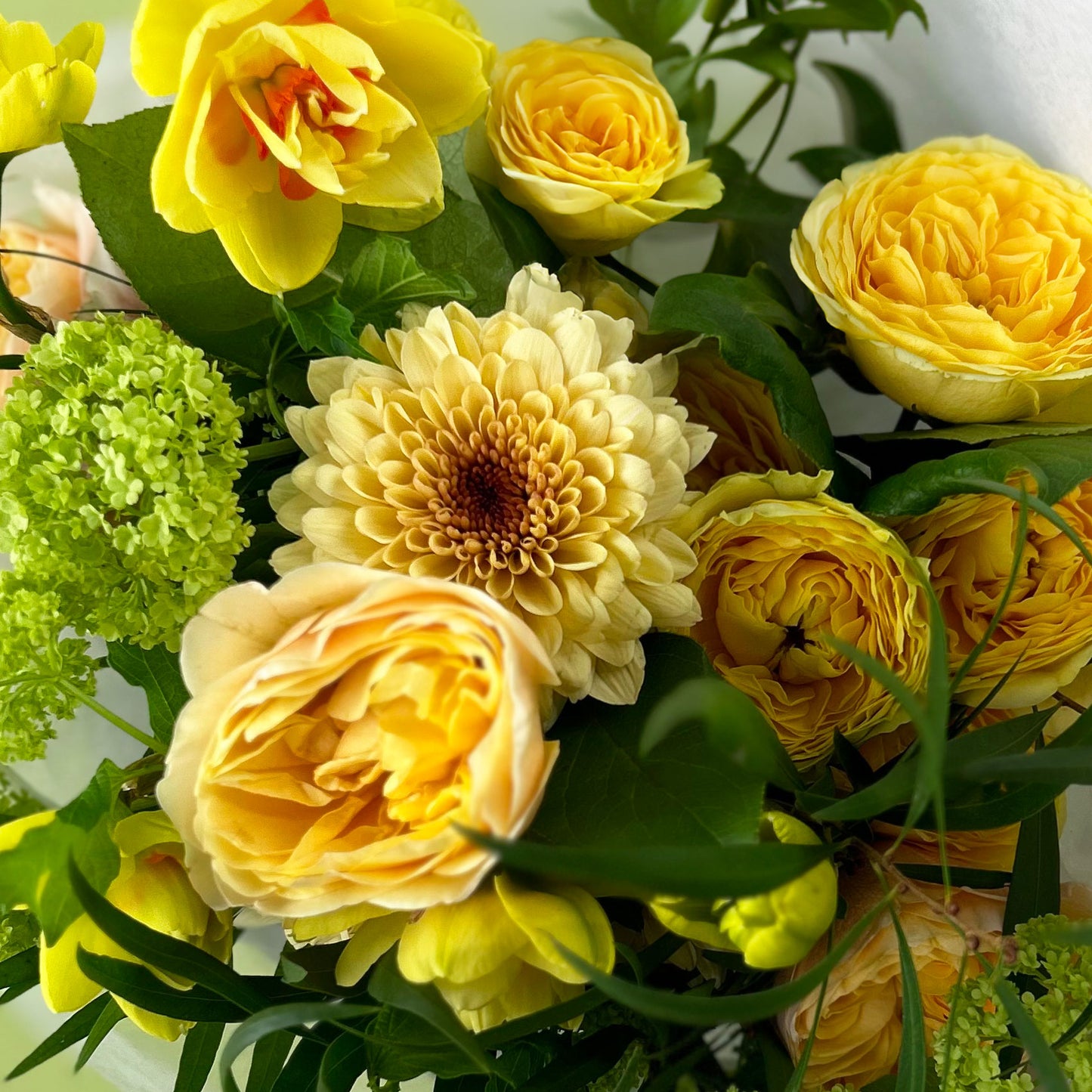 Flowers ✿ Mellow Yellow Colour Combo