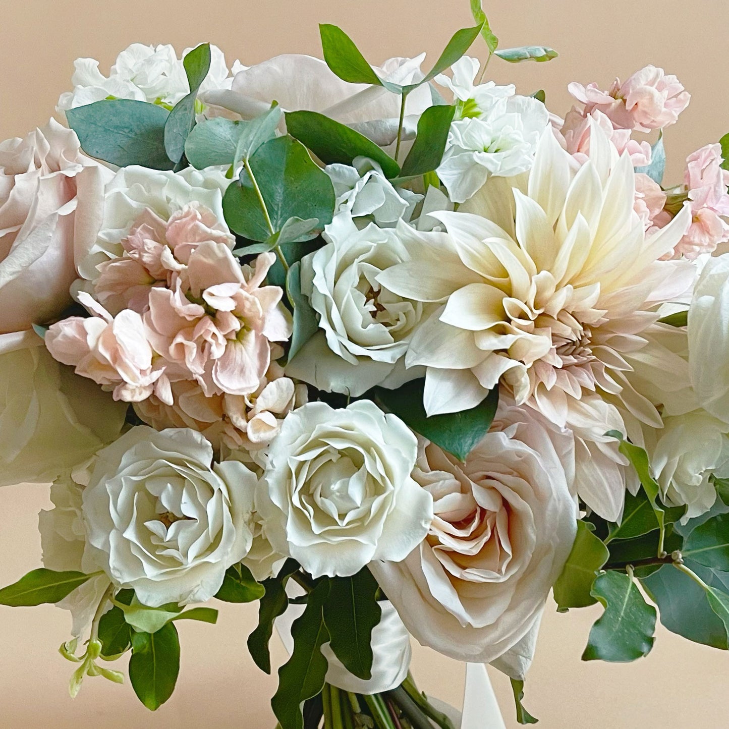 Closeup, Soft white and pink flowers. Attendant bouquet, bridesmaid bouquet, posy-style bouquets for bridesmaids. They emphasize blooms over greenery, are hand-tied & finished with a ribbon of your choice, and come in a vase. From the best wedding florist in Toronto Quince Flowers.
