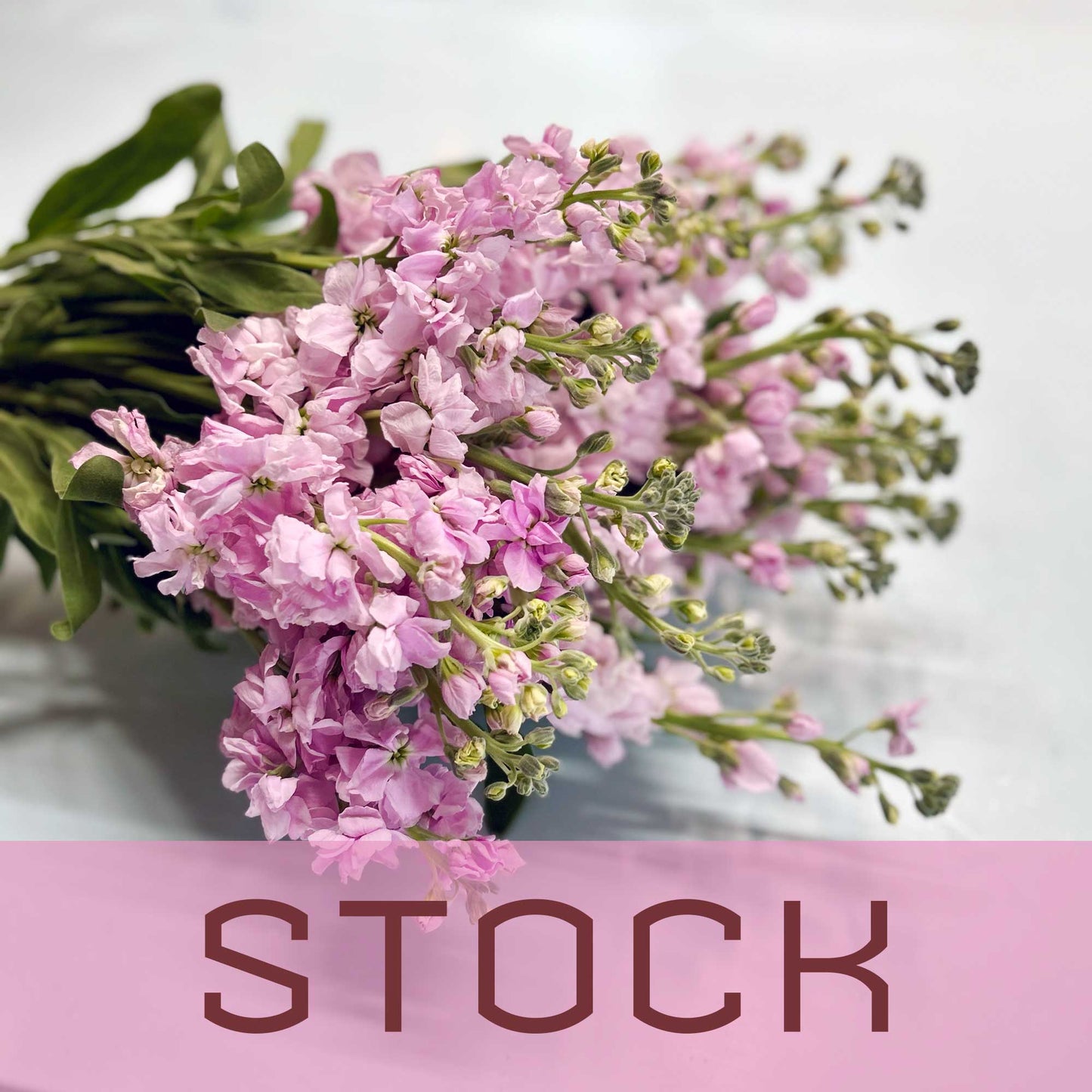 Behind the Bloom: Stock In Trade