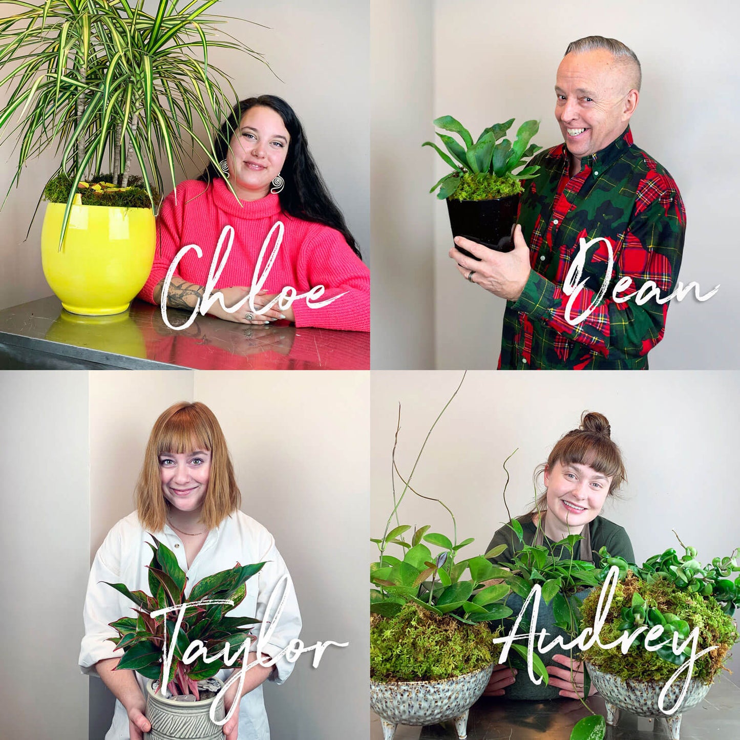 Plant Life: Staff Picks