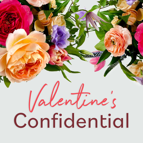 Behind the Bloom: Valentine's Confidential