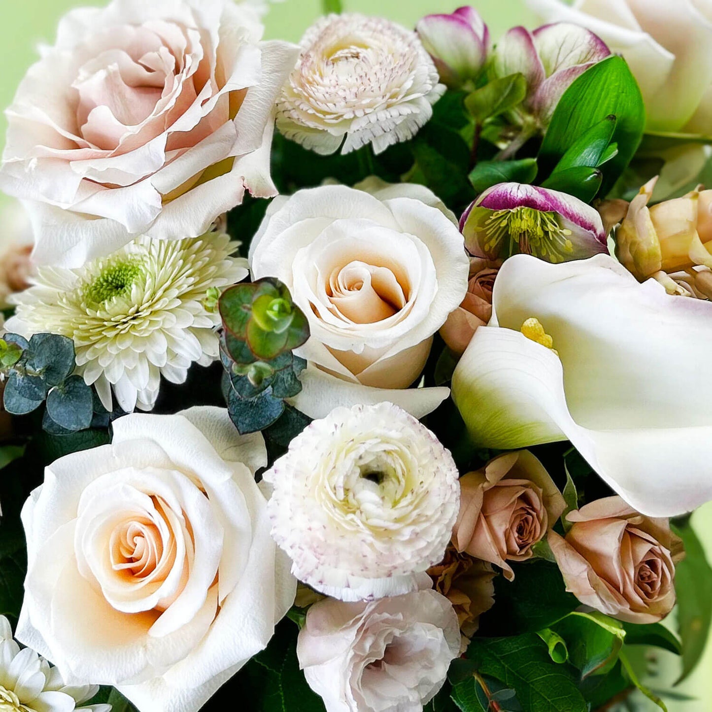 Flowers ✿ Champagne Colour Combo
