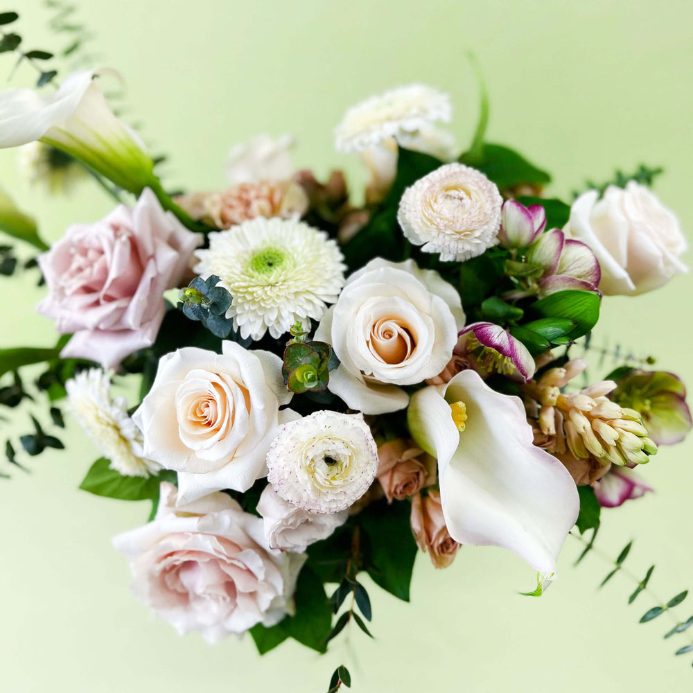 
                      
                        Flowers ✿ Champagne Colour Combo
                      
                    