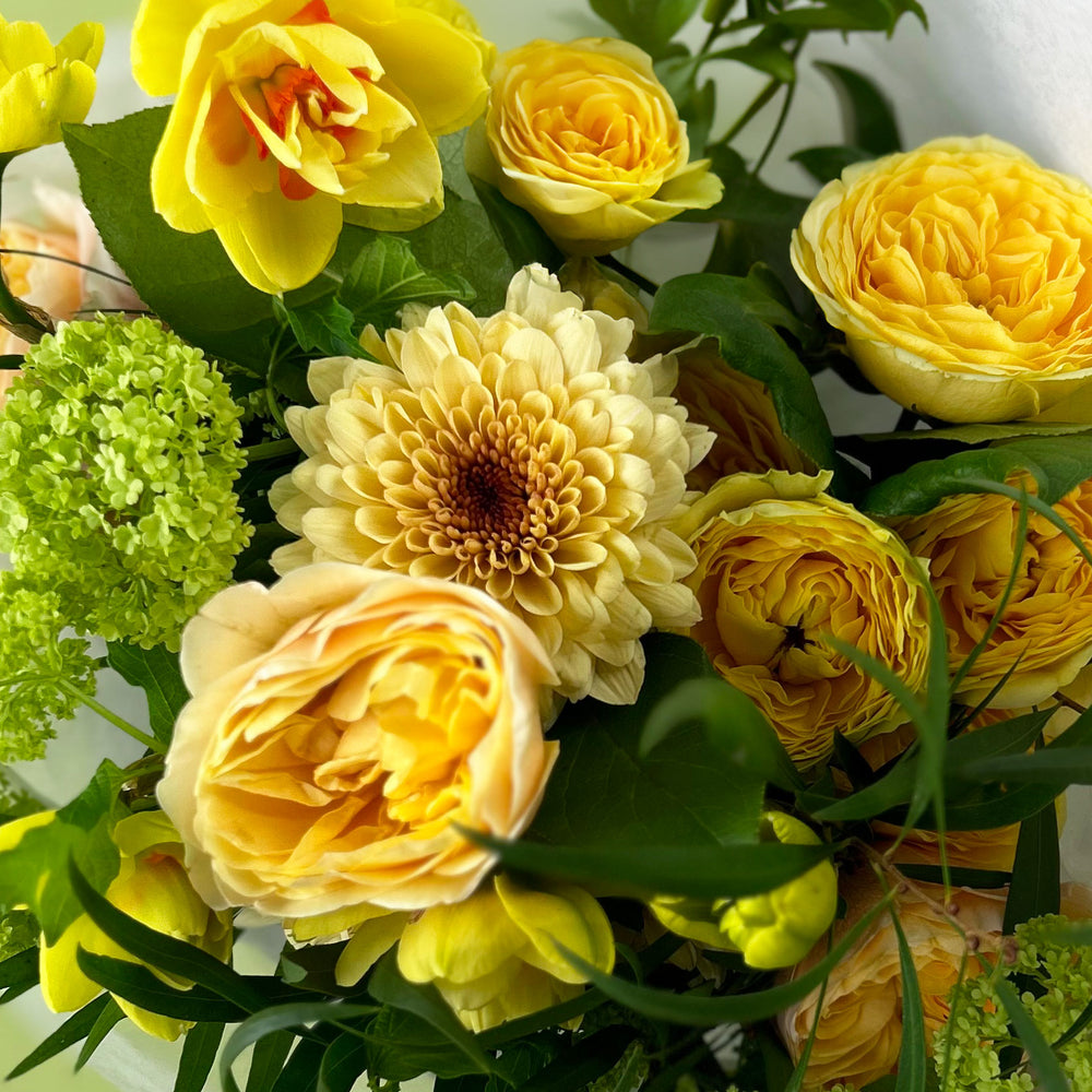 
                      
                        Flowers ✿ Mellow Yellow Colour Combo
                      
                    