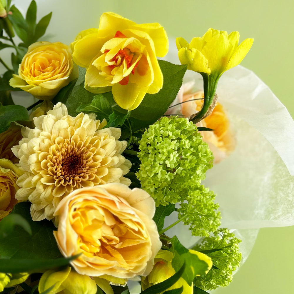 
                      
                        Flowers ✿ Mellow Yellow Colour Combo
                      
                    