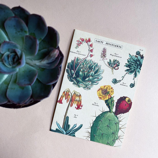 Card • Cacti & Succulents