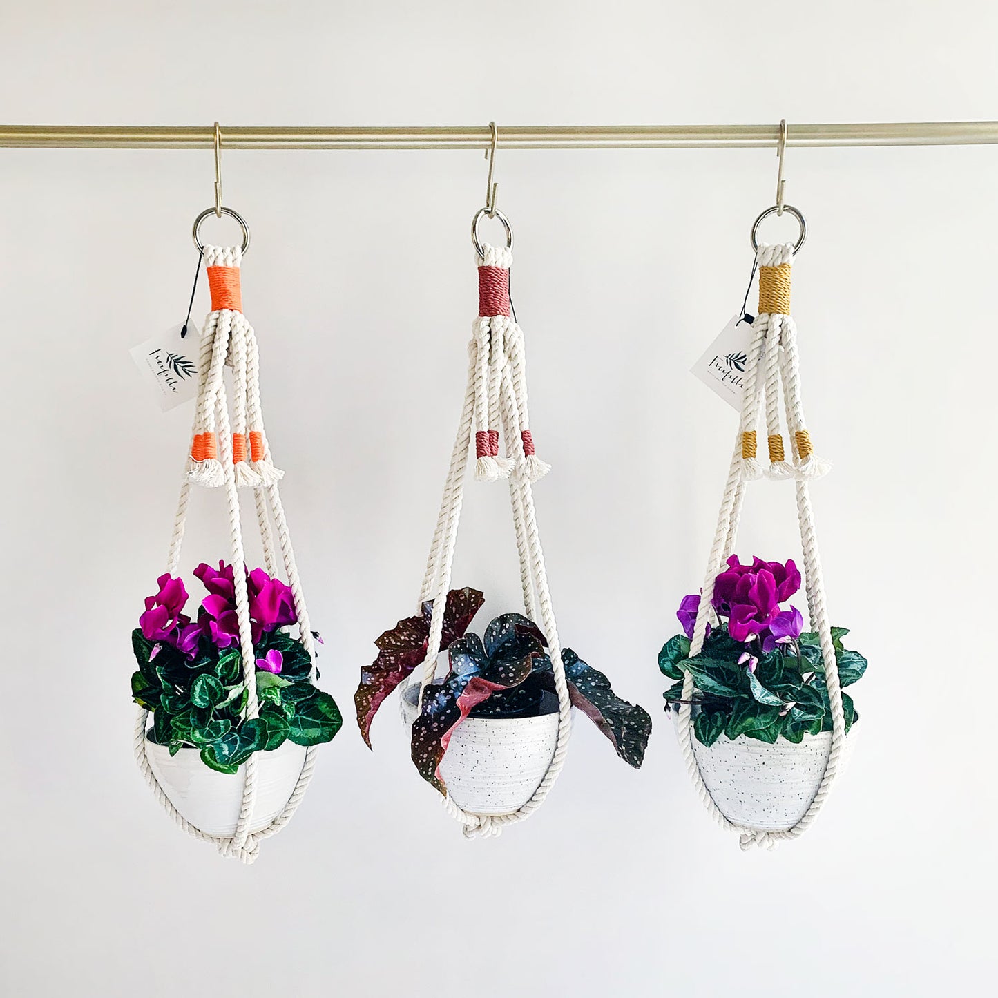 Macrame Plant Hanger