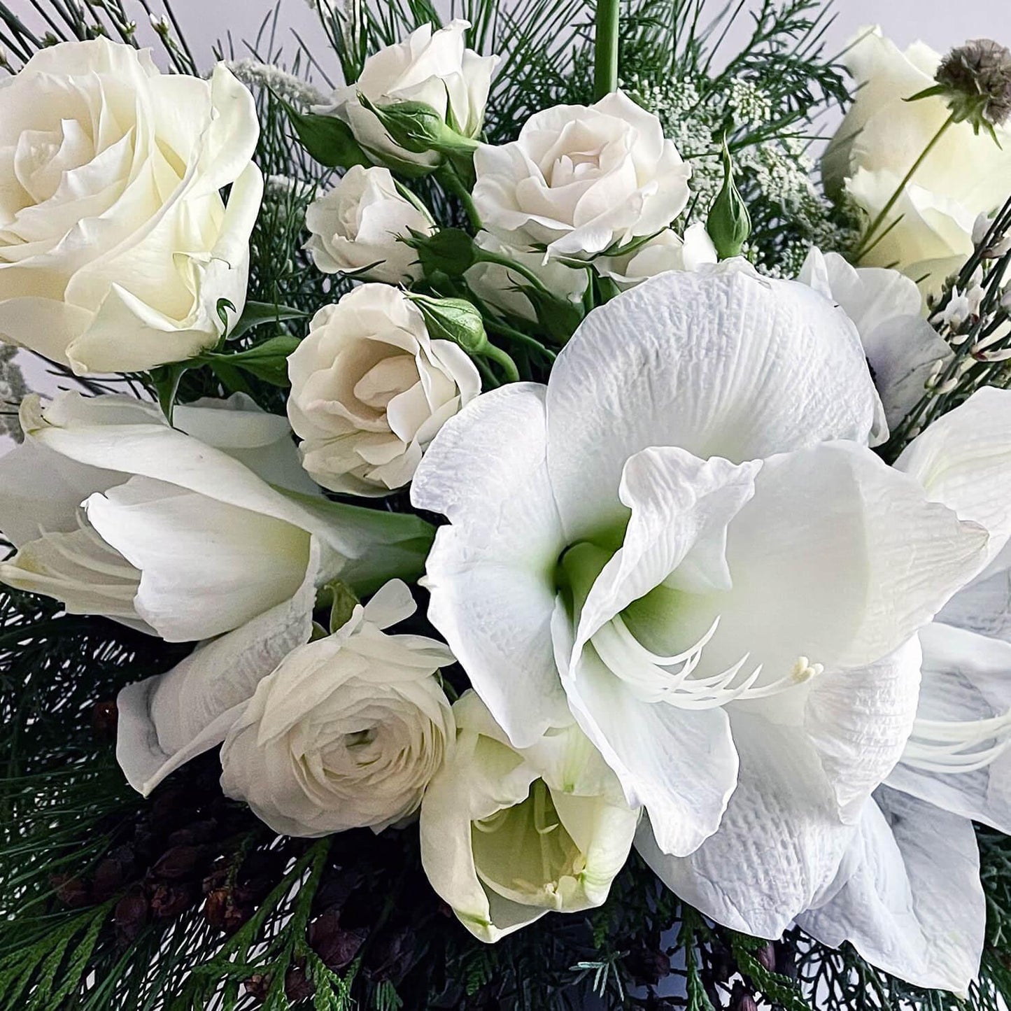 Close-up image of a bouquet featuring crisp white blooms paired with deep winter evergreens for a classic holiday look. Order online for same-day flower delivery from the best florist in Toronto near you.