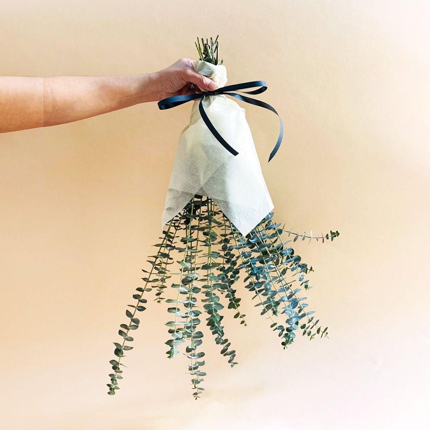 A hand holding a bouquet of eucalyptus branches wrapped in white paper and tied with a black ribbon against a light background.  Order online from the best florist in Toronto near you.